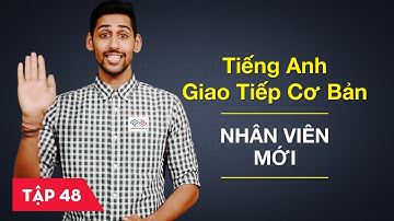 Tiếng Anh giao tiếp cơ bản - Bài 48: Nhân viên mới [Học tiếng Anh giao tiếp #6]