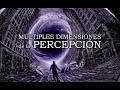 LAS MÚLTIPLES DIMENSIONES de la PERCEPCIÓN