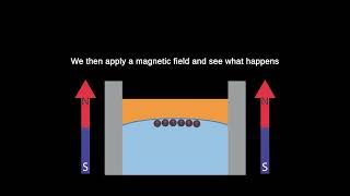 V008 Magnetic Droplet Crystals