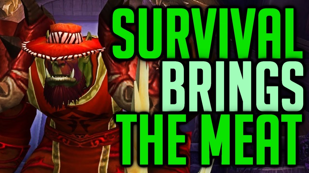 The War Within - 20 Twink Community Wargames #23 (Survival Hunter POV)