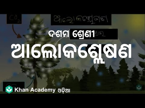 Photosynthesis[ODIA] | Nutrition | Class 10 | Biology | Khan Academy