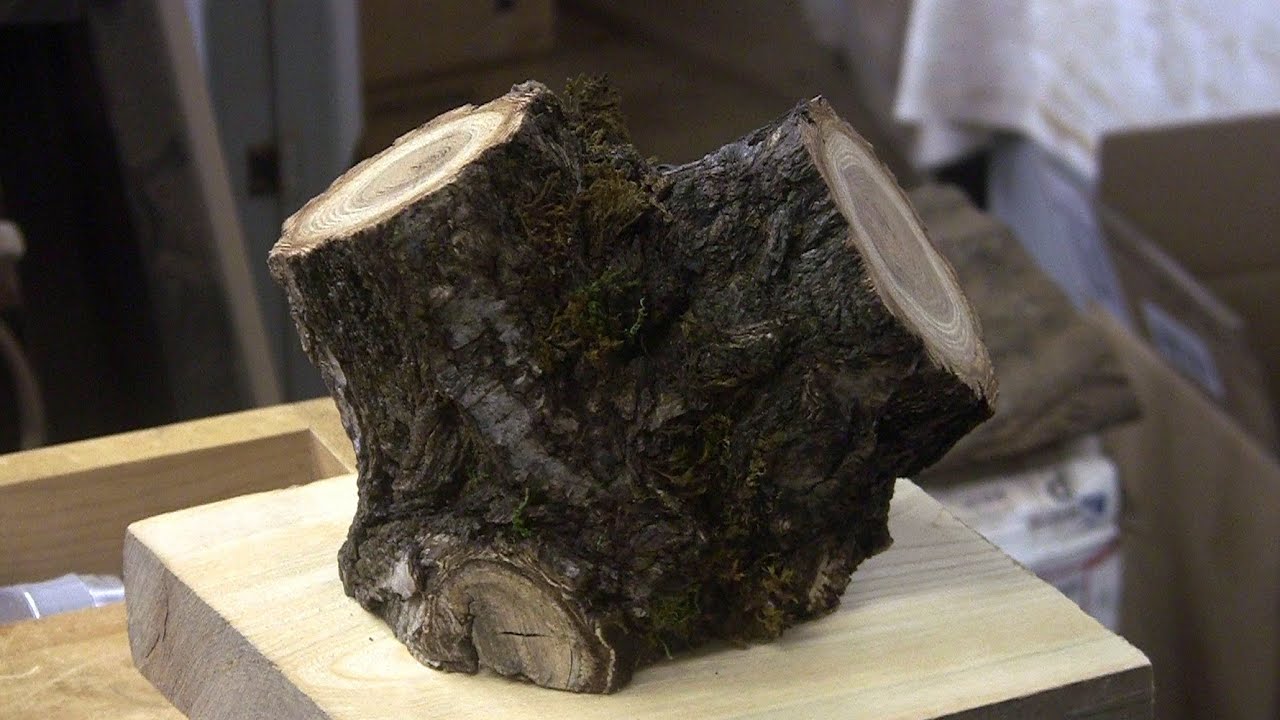 Acacia? Live Edge, Anyway! Wood Turning YouTube