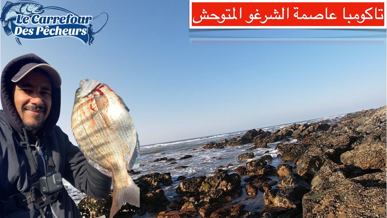 اجي تشوف معانا الشرغو المتوحش ديال تاكومبا جنوب سيدي افني