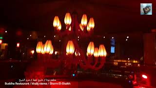 خليج نعمة| شرم الشيخ| مطعم ليتل بوذا|LITTLE BUDDHA RESTURANT |Sharm El-Shaikh| khalij niema