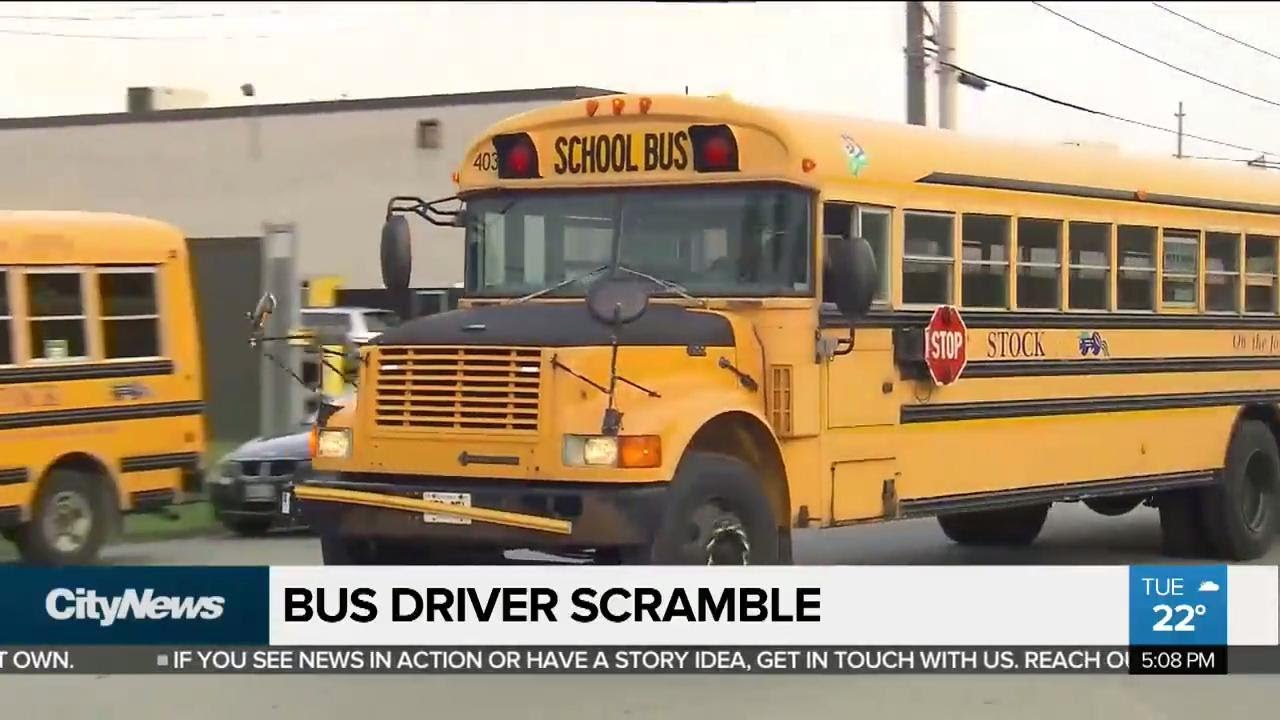 Scramble for bus drivers ahead of school year - YouTube