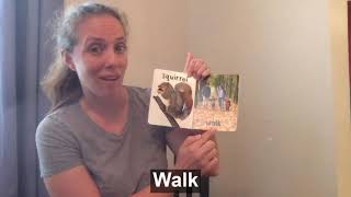 Reading with Deaf/Hard of Hearing Kids in English with Signs: Fall, Ages 0-2