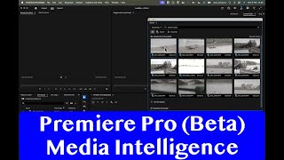 Premiere Pro Beta - Media Intelligence, a game changer