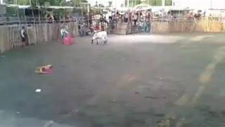 Corrida De Promesas En San Isidro Ochil 2018