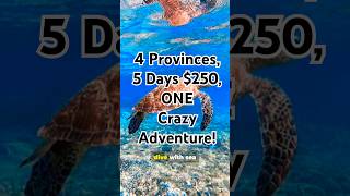 5 Days, 4 Provinces, $250. Would you do this? #shorts #travel #philippines #food