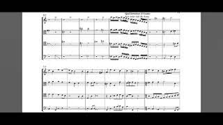 capriccio stravagante carlo farina 1627