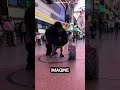 Crazy King Kong Dancing in Las Vegas 🤯