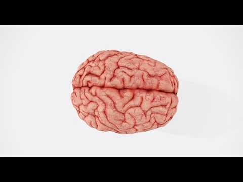 Efecto placebo: el cerebro puede aliviar síntomas sin ingredientes activos