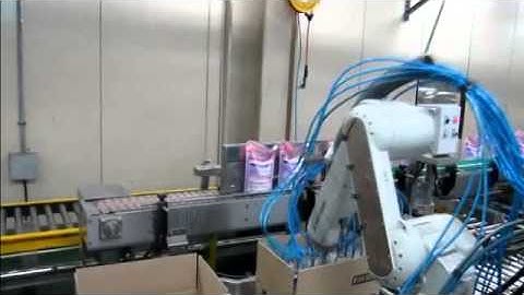 Mitsubishi Electric Robot Packaging