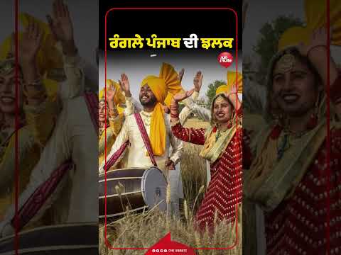 ਰੰਗਲੇ ਪੰਜਾਬ ਦੀ ਝਲਕ | Tejinder Fatehpur |Harpal Singh Cheema