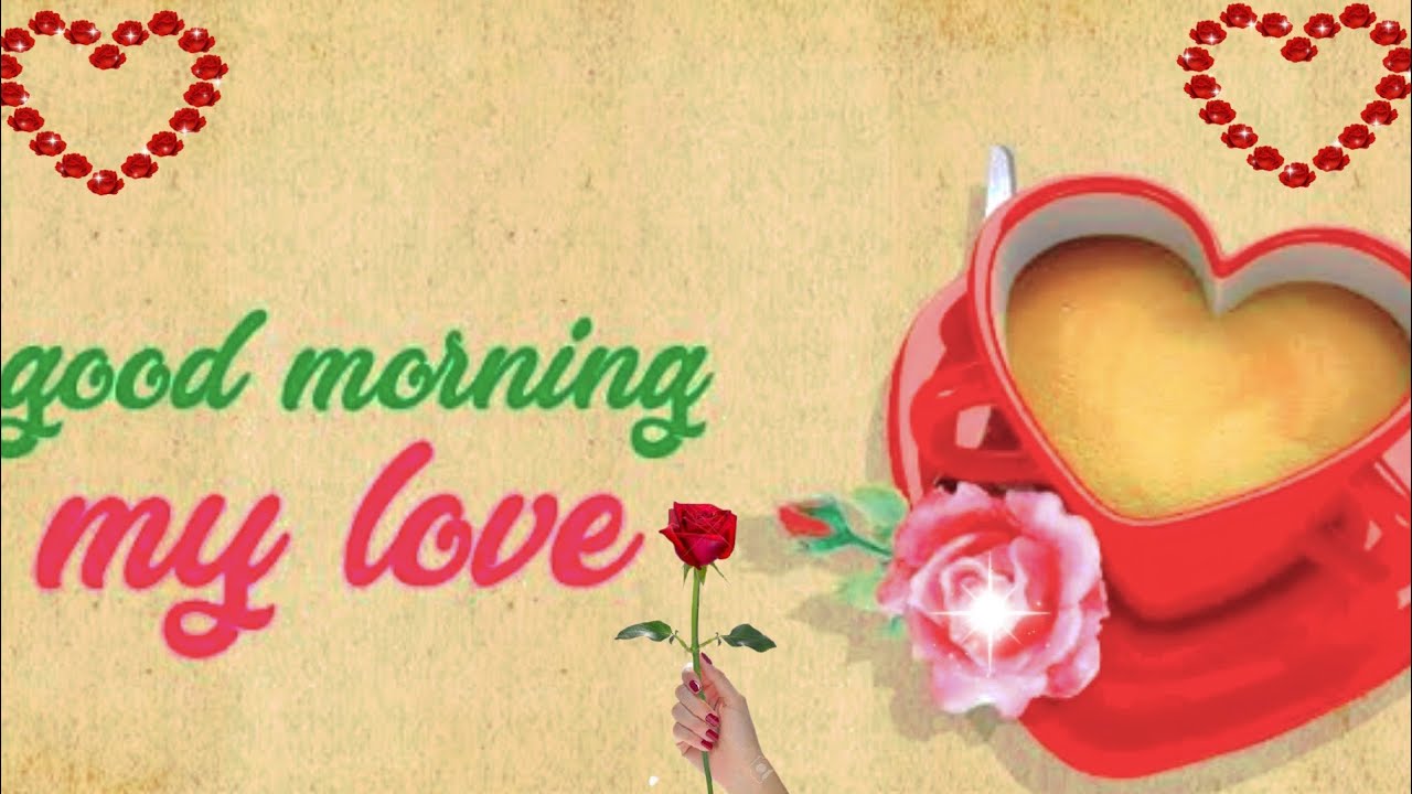 good morning status ️ good morning video ️good morning love status