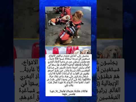 ي ج ل س و ن ع ل ﮯ آل ش آط ئ ب ص م ت ي رآق ب و ن آل أم و آج م س ت ع د ي ن ل أي ص رخ ة