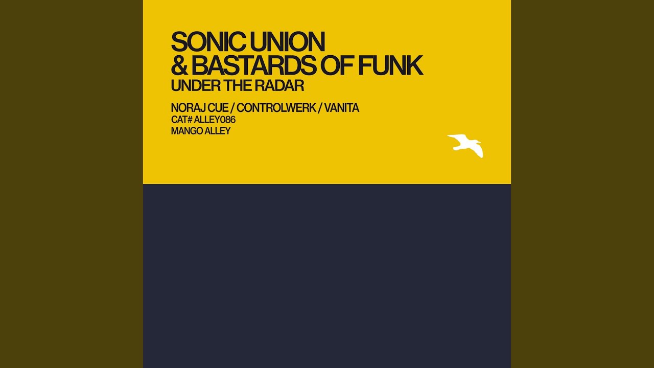 Under the Radar (Vanita Remix)