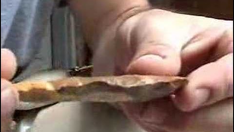 Cow Bone Clovis Part 2