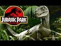 What Happened To The Wild Raptors On Isla Nublar AFTER Jurassic Park?