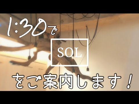 【SOL】をご案内する【動画】