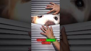 Harekete Geç Yu Beğen Abone Ol Yoruma Bi Şey Yaz 👇👇👇