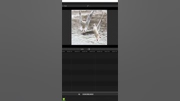 Blender Tutorial: How to Resize Images in Blender Video Editor