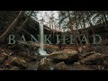 Sipsey Wilderness / Bankhead National Forest on a cold January 2022 day. Shot on Sony a7IV