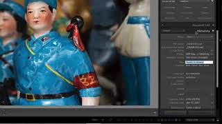 5 Tips and Tricks for the Lightroom Classic Library - Webinar