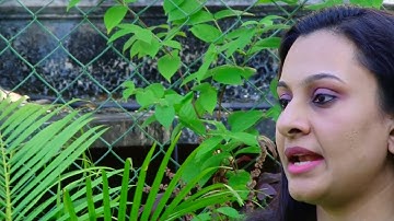 Sensory Diet & its importance for children on Autism Spectrum