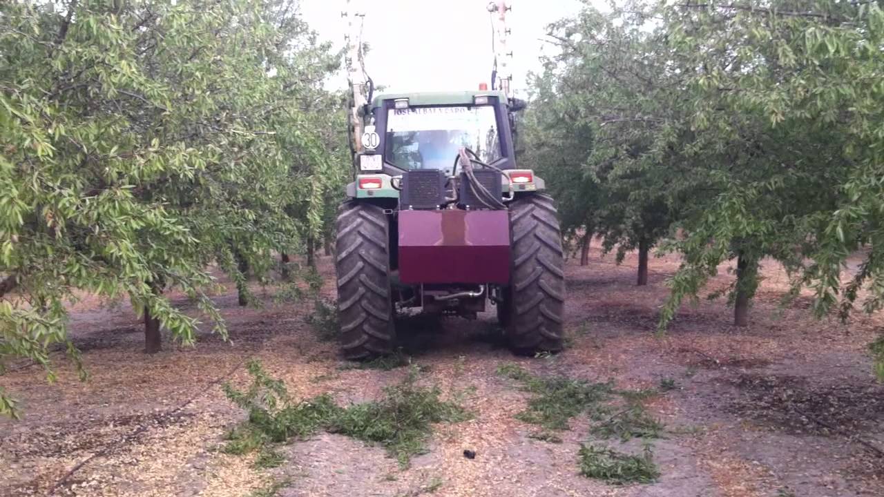 Poda Mecanizada con Discos: Plantación Almendros Antoñeta- Hornachuelos (Córdoba)- 2012