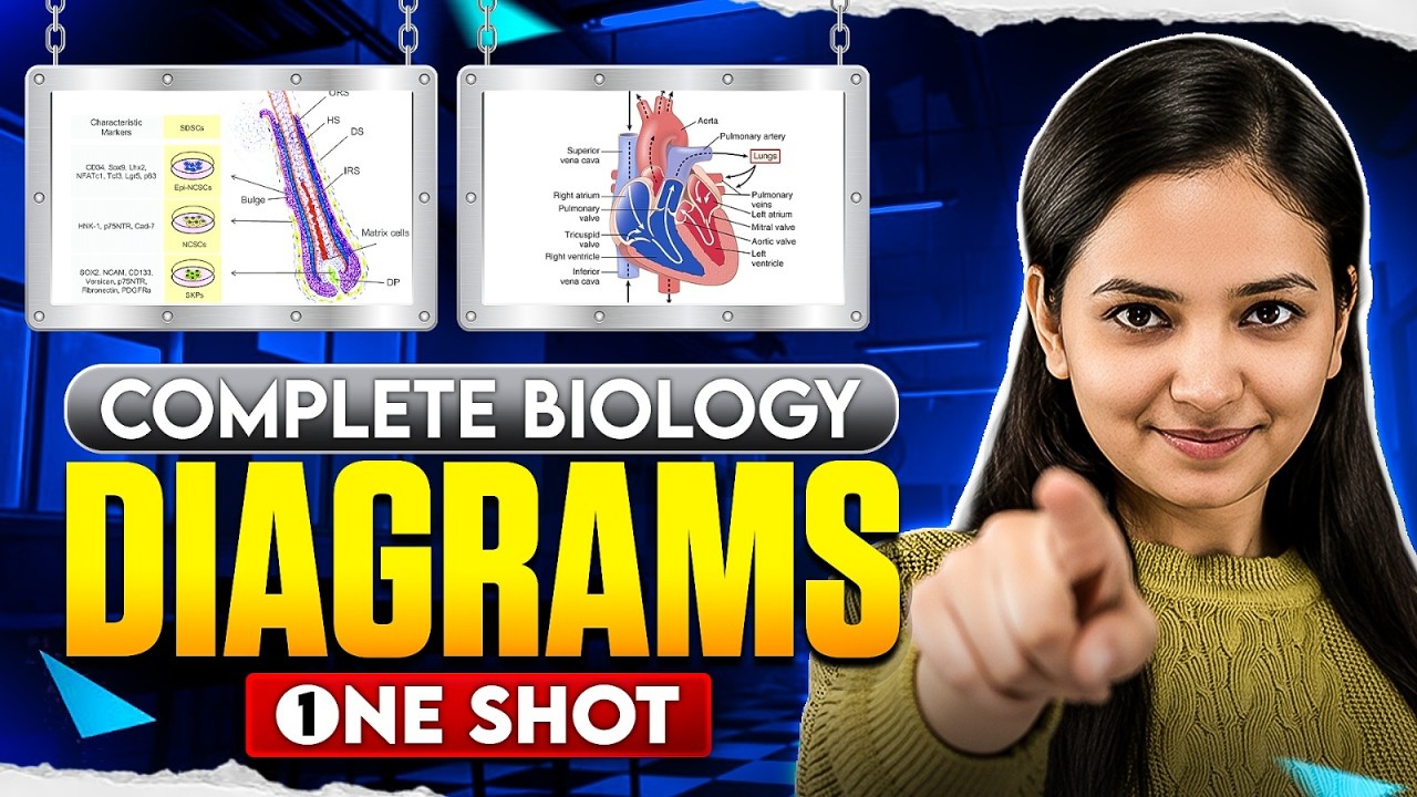 🔥All Diagrams of 11th & 12th - One shot I NEET - 2026 I Biology I ...