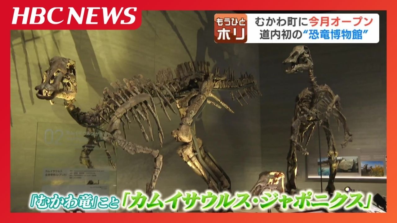 Hobetsu Dinosaur Museum] Hokkaido's first dinosaur museum is about
