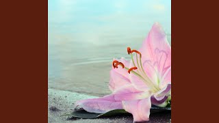 Milo Thomas Information