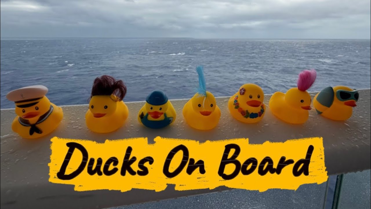 Hiding Ducks On Anthem Of The Seas Royal Carribean 