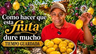 La mejor forma de guardar maracuyá para jugos, postres y ventas