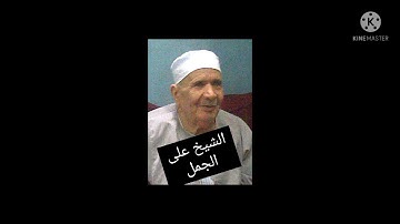 الشيخ على الجمل ماتيسر من سورة مريم
