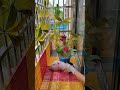 🤯 Foldable Balcony Shelf Setup in Seconds! 🏡✨#SpaceSaver 🔥 #BalconyHack 🌿 #SmartDesign 💡