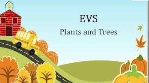 2nd Standard - Term1 Volume2  EVS Unit 3 - Plants Around Us (Part-3)