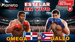Gallo Vs Omega Pelea Completa En Vivo Donde Ver Omega El Fuerte Vs Gallo Planeta Alofoke En Vivo