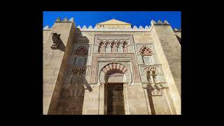 Mandragora X Martin Garrix Trans Type Beat Codese