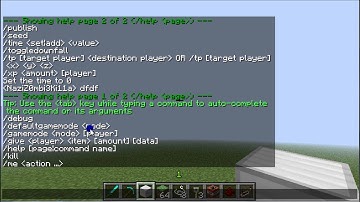 Minecraft-How to use commands in single player, no mods