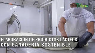 Elaboración de productos lácteos con ganadería sostenible - TvAgro por Juan Gonzalo Angel Restrepo