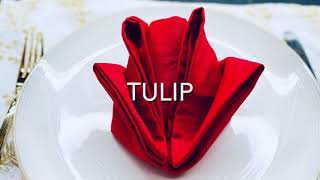 Tulip Napkin Fold