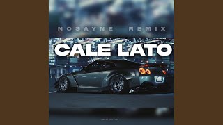 CAŁE LATO (NOSAYNE REMIX)