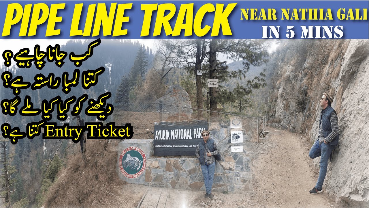 Pipeline Track DONGA GALI | NATHIA GALI | Ayubia National Park Visit | Donga gali to Ayubia Track