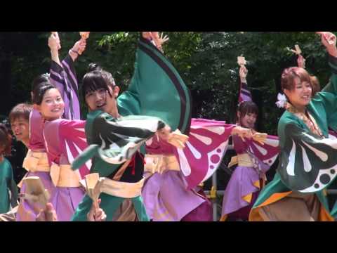よさこいの踊り子たち＠2013　スーパーよさこい