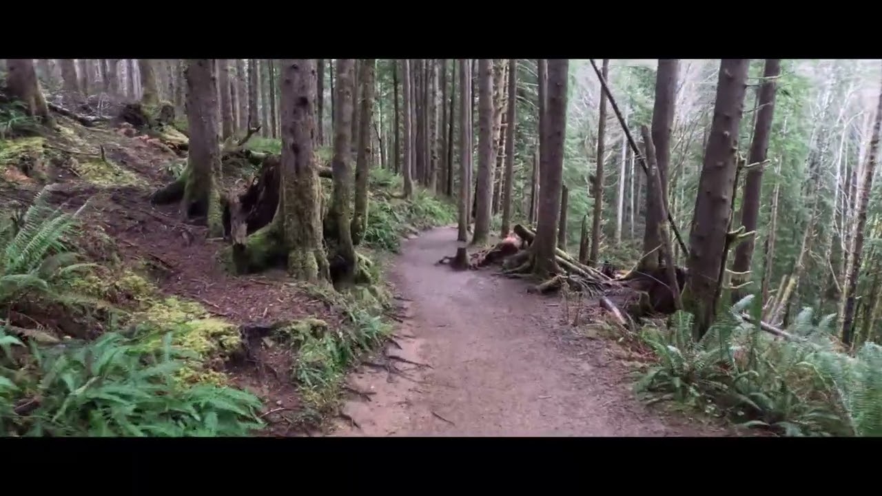 Drift Creek Falls Trail, Oregon.
