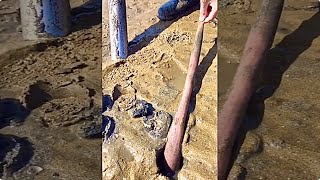 S Worm Fishing Catching Seafood