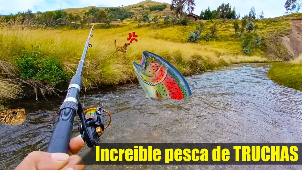 Increíble captura de TRUCHAS en los ríos de mi Perú 🇵🇪