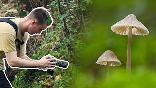 UK Rainforest Mushroom Photography - Finding Fungi Ep8